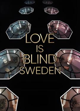 爱情盲选：瑞典篇 第二季