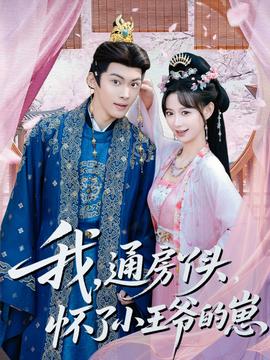 我通房丫头怀了小王爷的崽